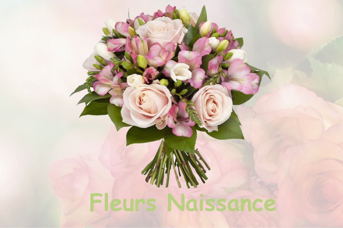 fleurs naissance LA-FOLLETIERE-ABENON